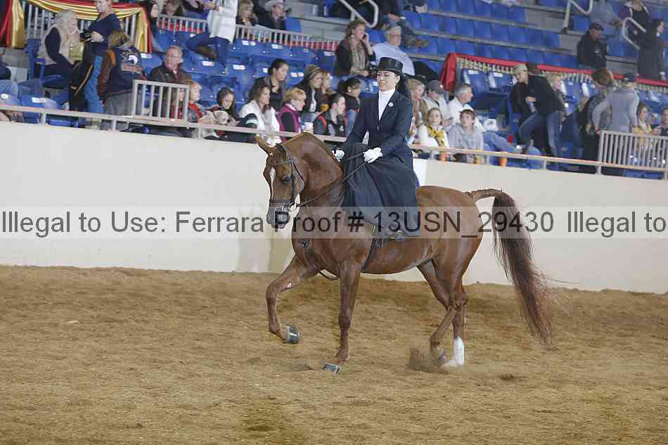 Proof 13usn_29430
