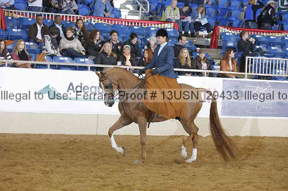 Proof 13usn_29433