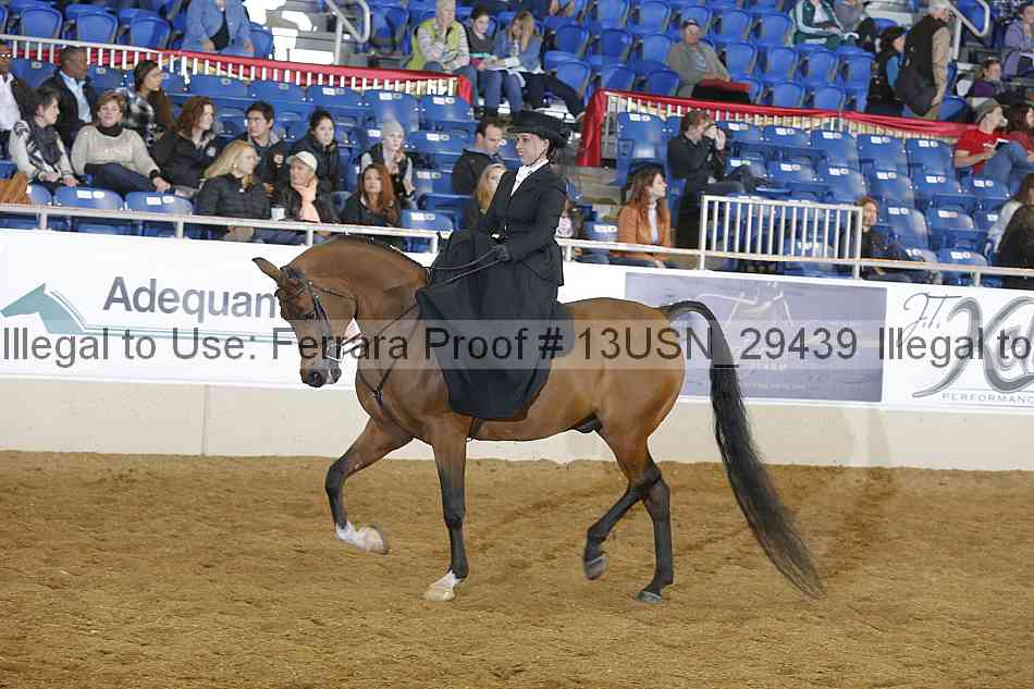 Proof 13usn_29439
