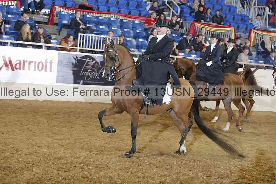 Proof 13usn_29449