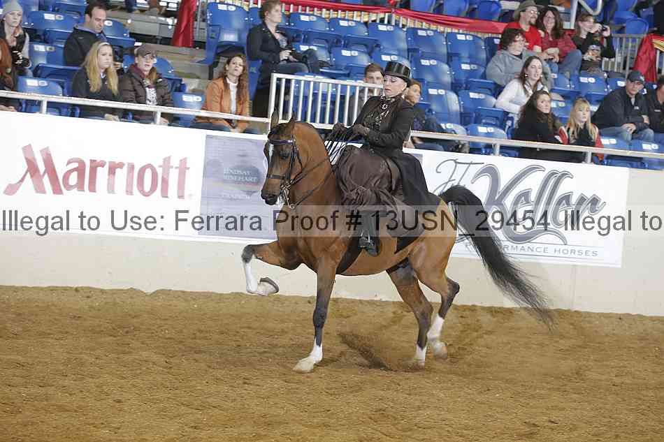 Proof 13usn_29454