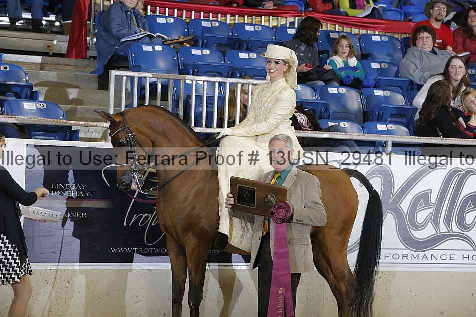 Proof 13usn_29481