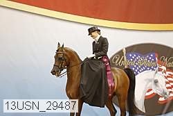 13usn_29487 proof