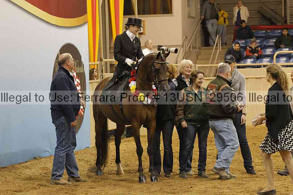 Proof 13usn_29506