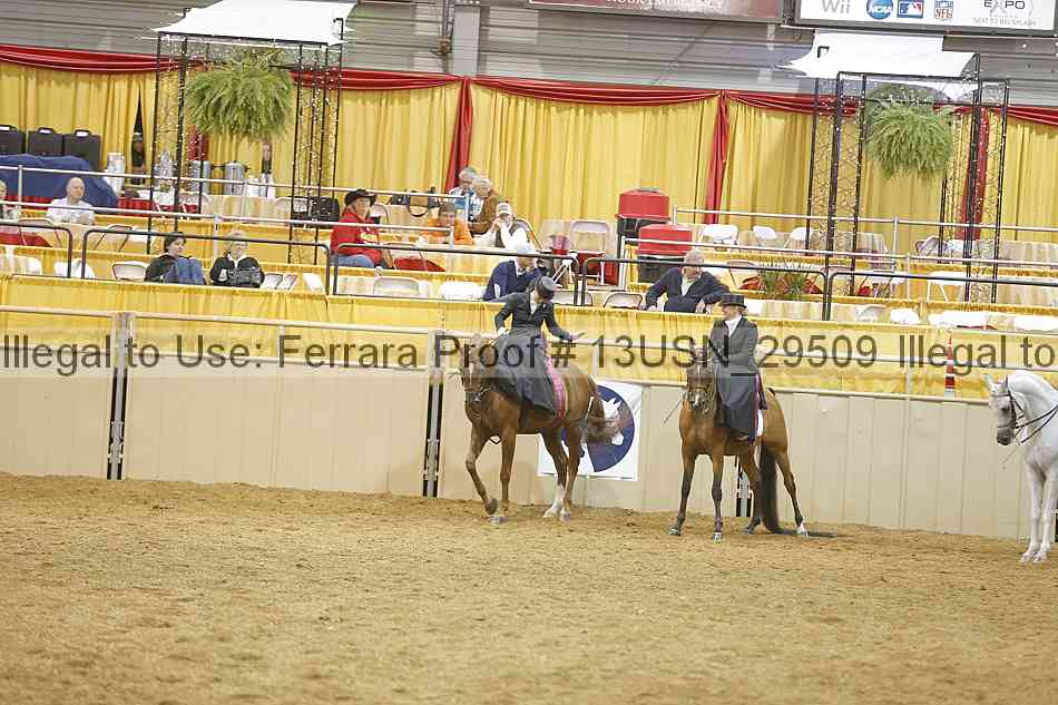 Proof 13usn_29509