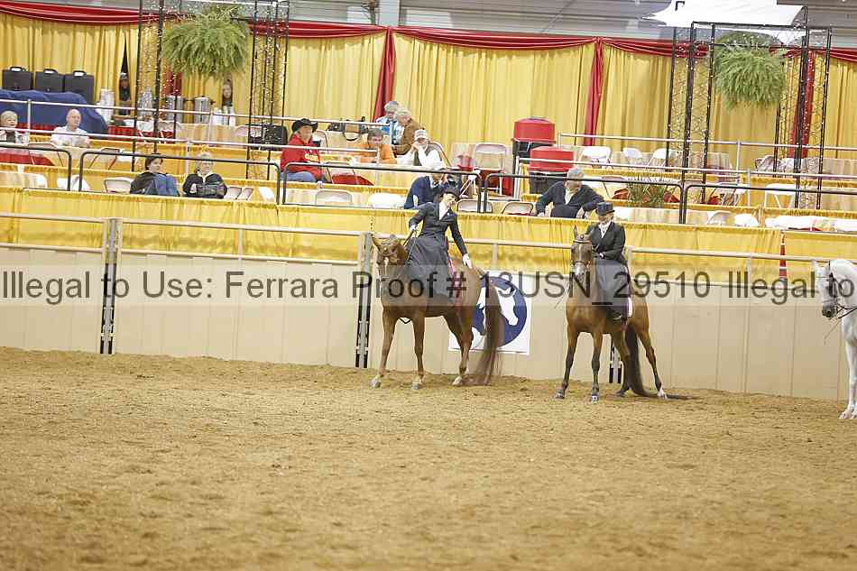 Proof 13usn_29510