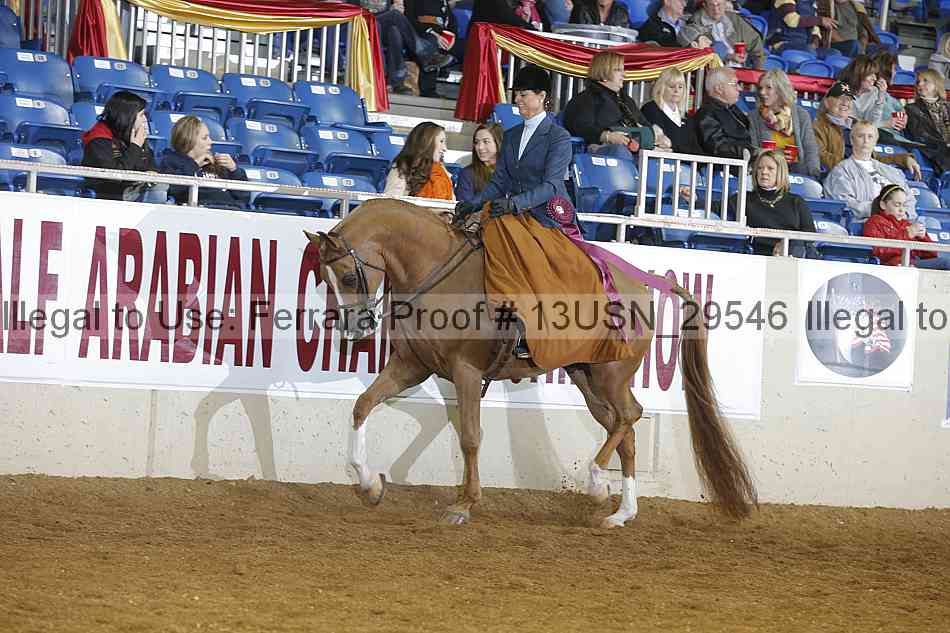 Proof 13usn_29546