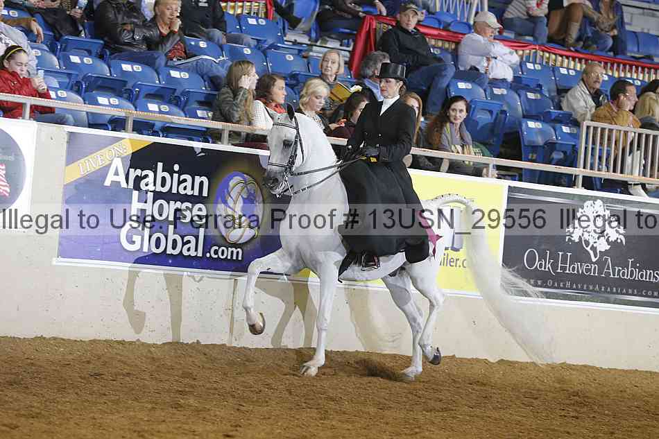 Proof 13usn_29556