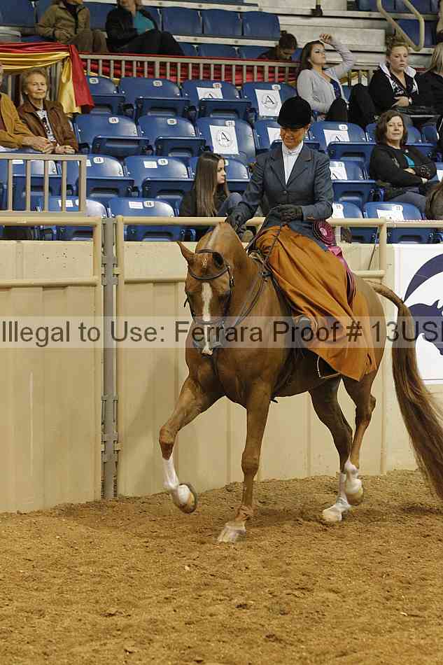 Proof 13usn_29559