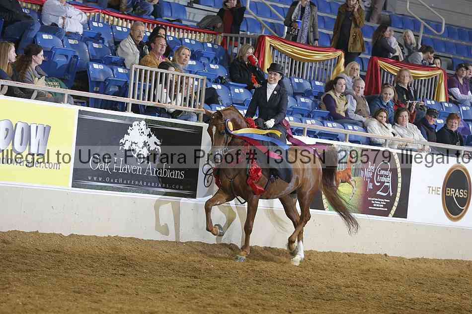 Proof 13usn_29579