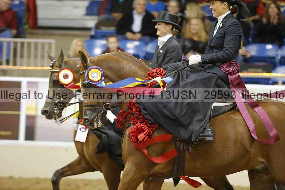Proof 13usn_29593
