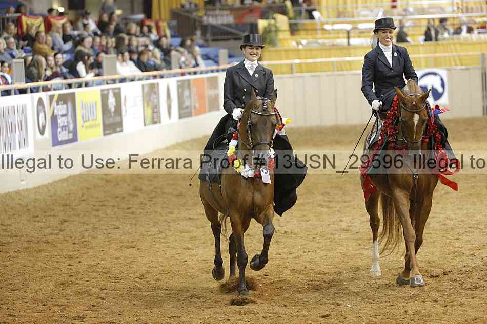 Proof 13usn_29596
