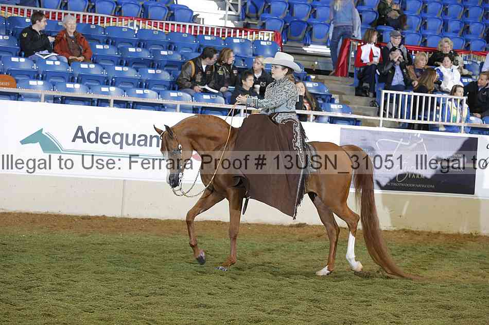 Proof 13usn_31051