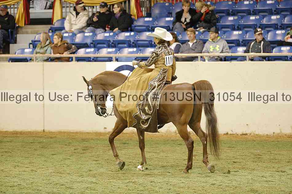Proof 13usn_31054