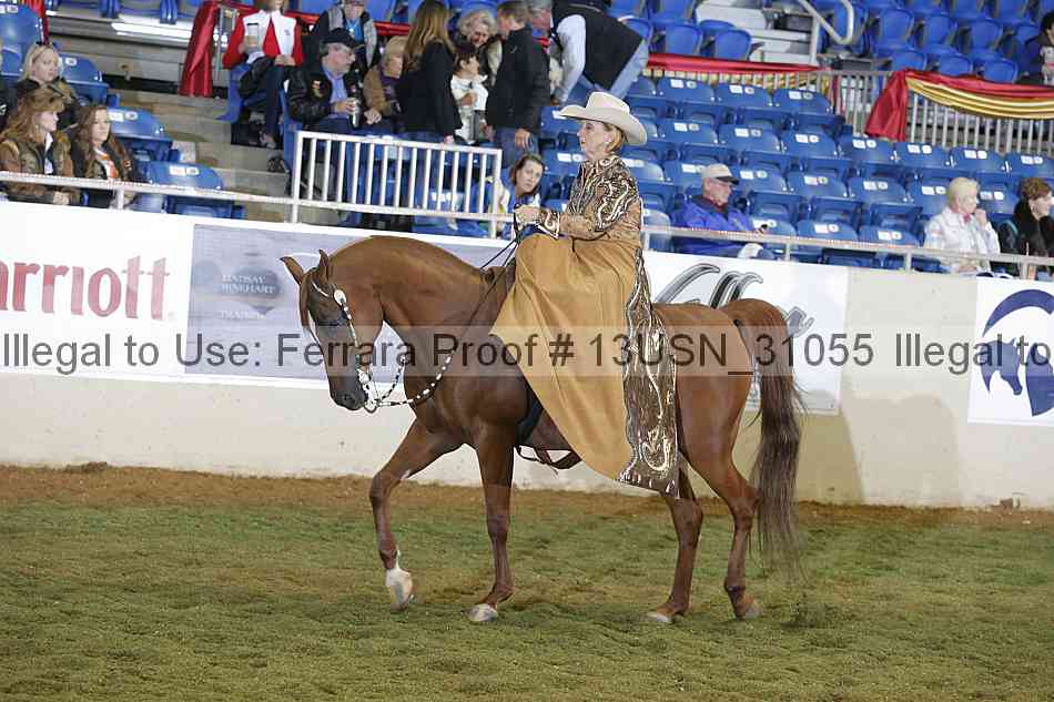 Proof 13usn_31055