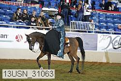 13usn_31063 proof
