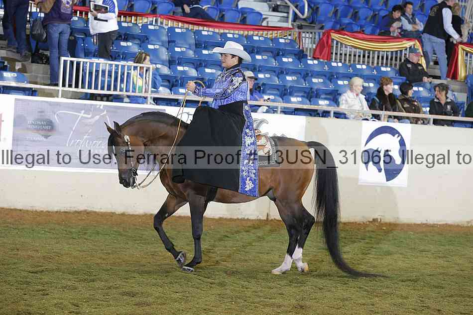 Proof 13usn_31065