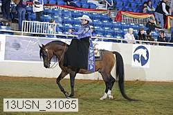 13usn_31065 proof