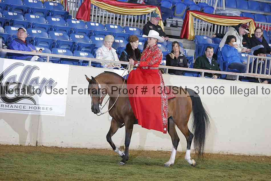 Proof 13usn_31066