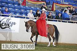 13usn_31066 proof