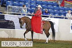 13usn_31067 proof