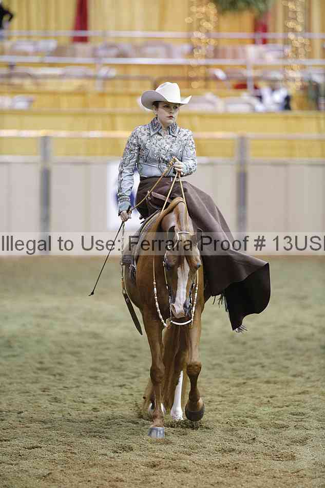 Proof 13usn_31068