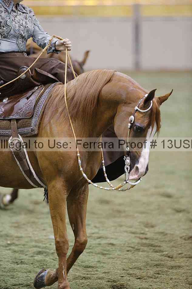 Proof 13usn_31071