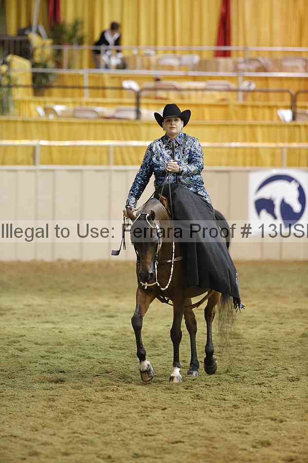 Proof 13usn_31080