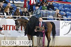 13usn_31095 proof