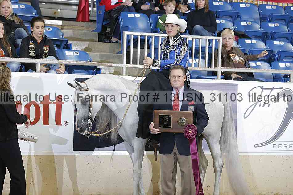 Proof 13usn_31103
