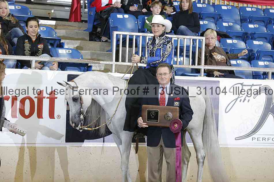 Proof 13usn_31104
