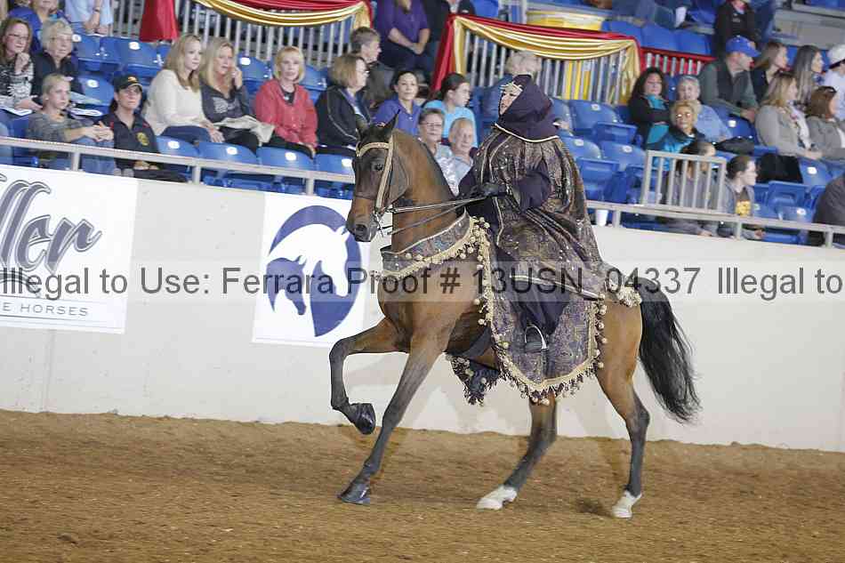 Proof 13usn_04337