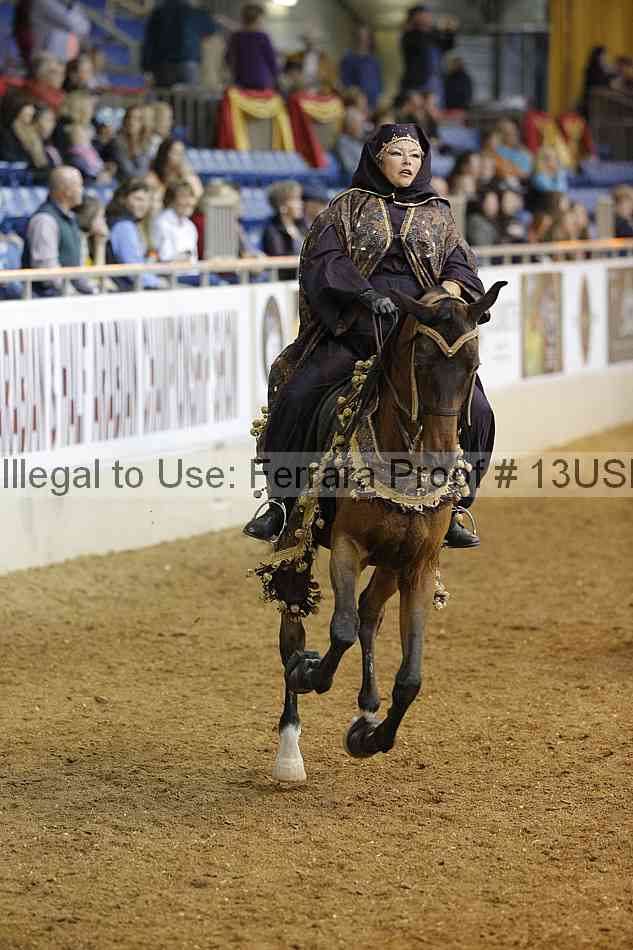 Proof 13usn_04377