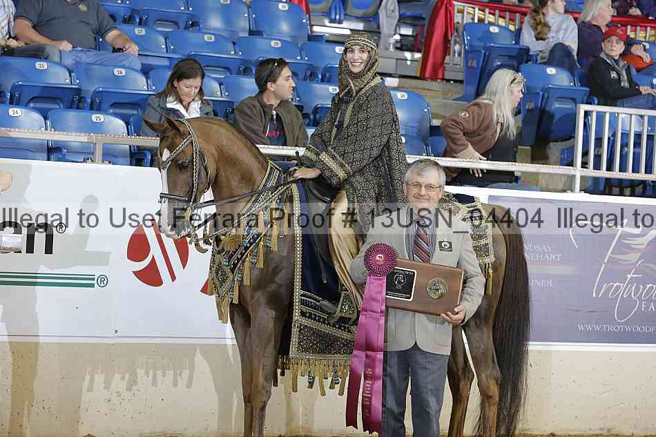 Proof 13usn_04404