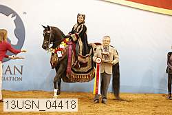 13usn_04418 proof