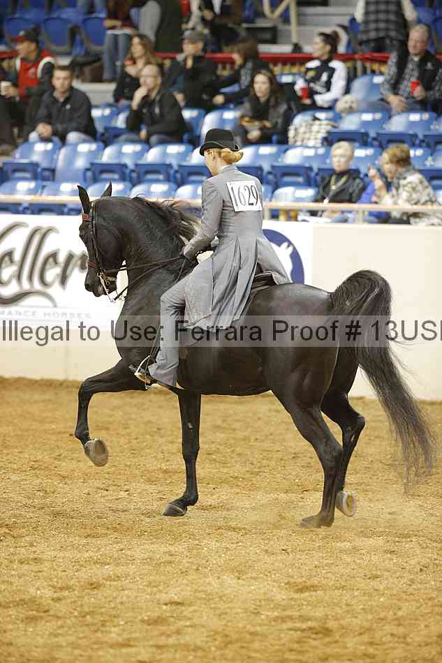 Proof 13usn_22245