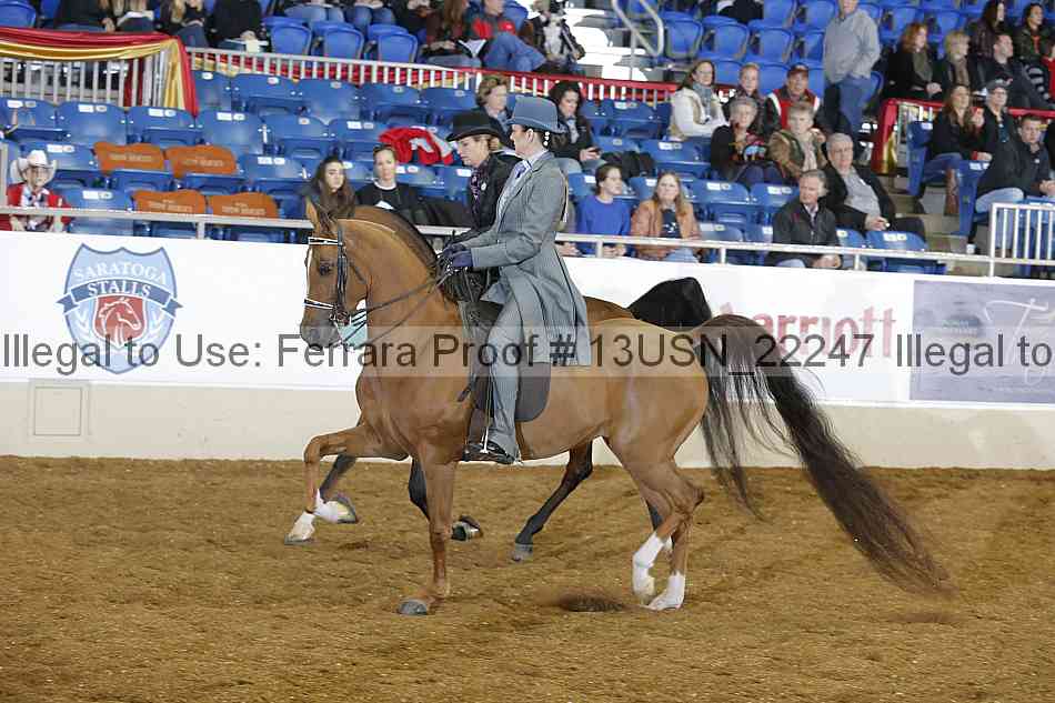 Proof 13usn_22247