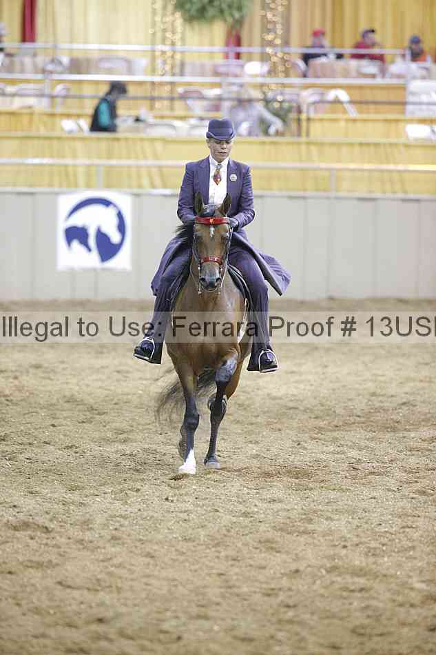 Proof 13usn_22249