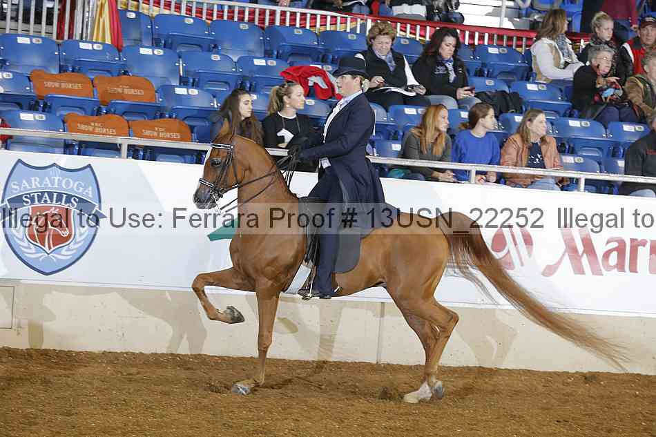 Proof 13usn_22252