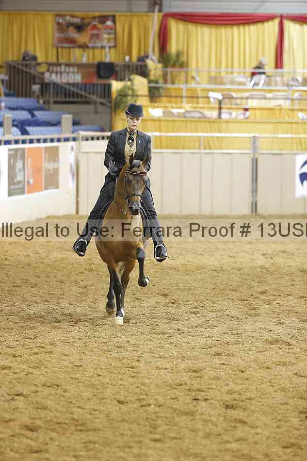 Proof 13usn_22254