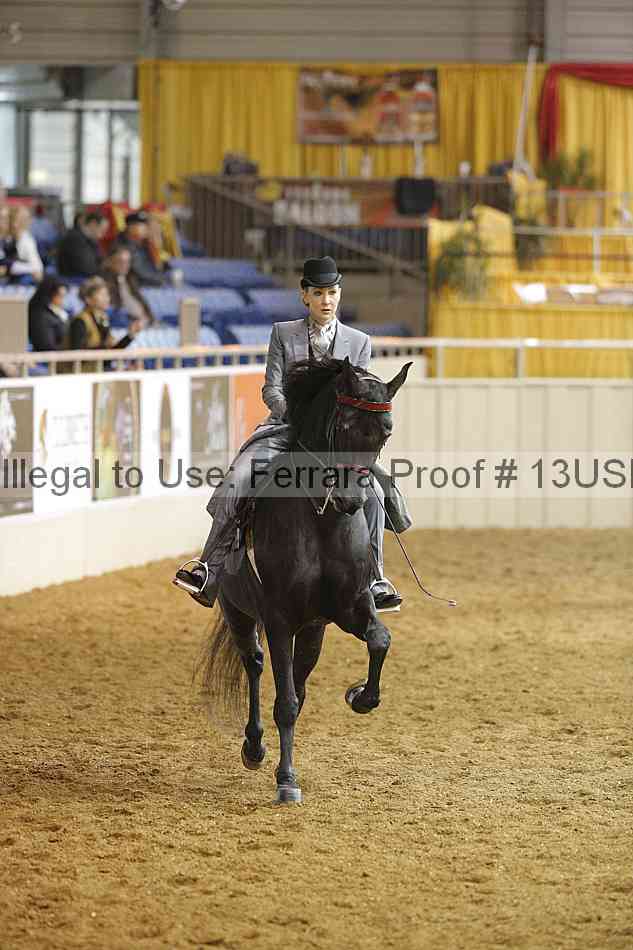 Proof 13usn_22258