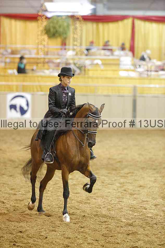 Proof 13usn_22261