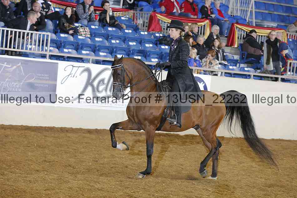 Proof 13usn_22262