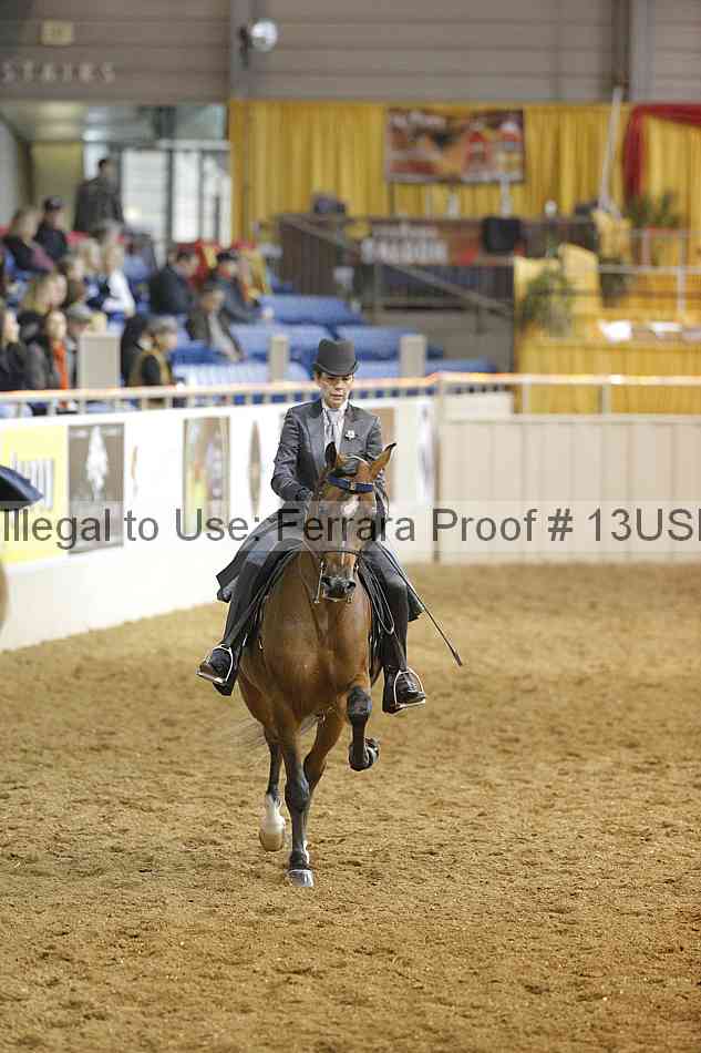 Proof 13usn_22267