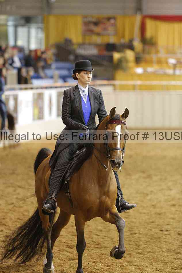 Proof 13usn_22274