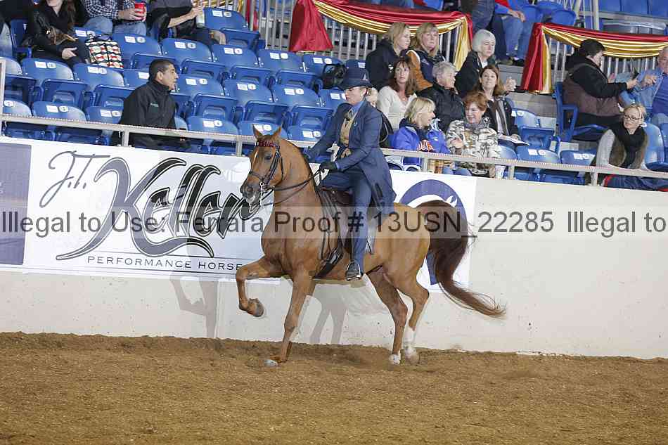 Proof 13usn_22285