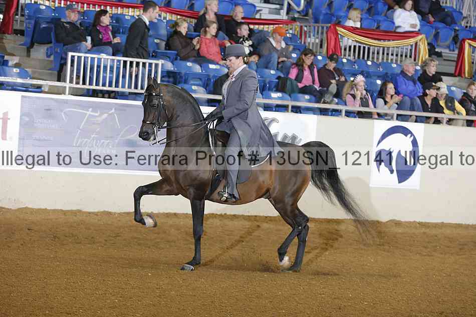 Proof 13usn_12141