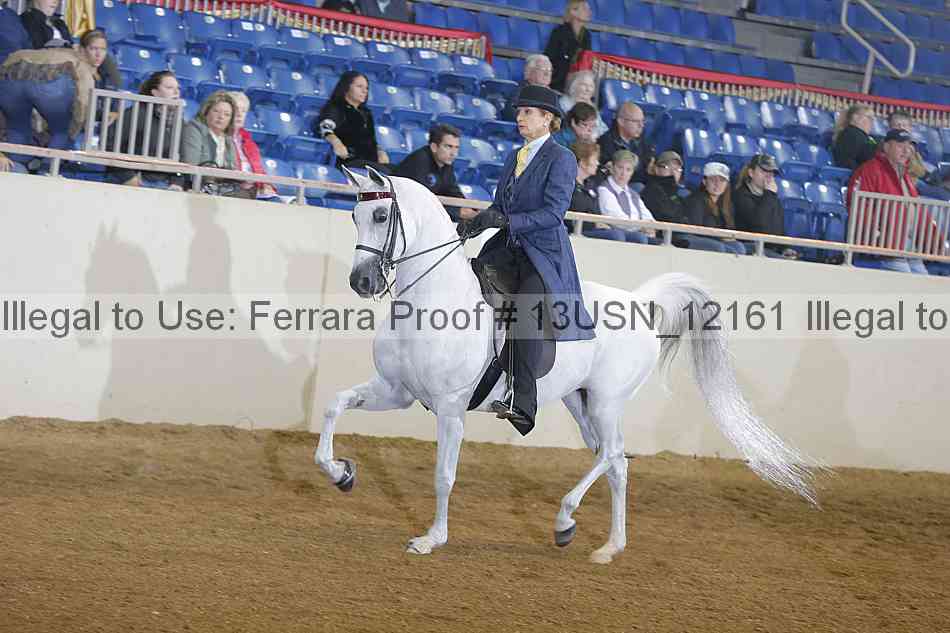Proof 13usn_12161