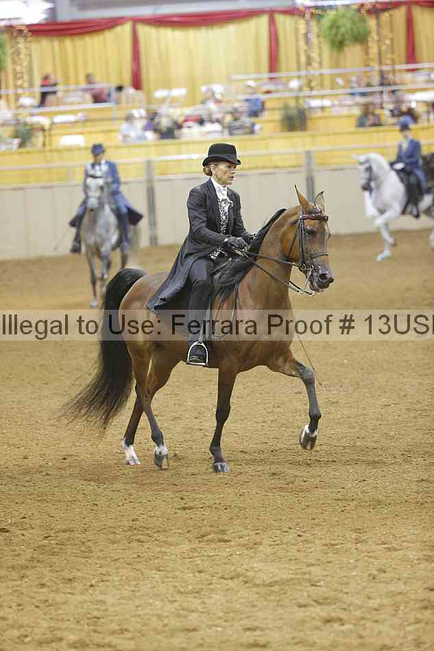 Proof 13usn_12173