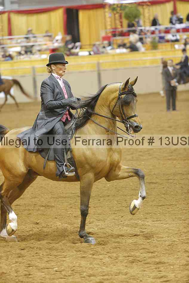 Proof 13usn_12175